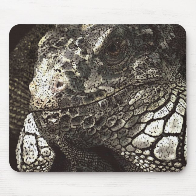 Mousepad Iguana (Frente)