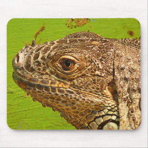 MOUSEPAD IGUANA