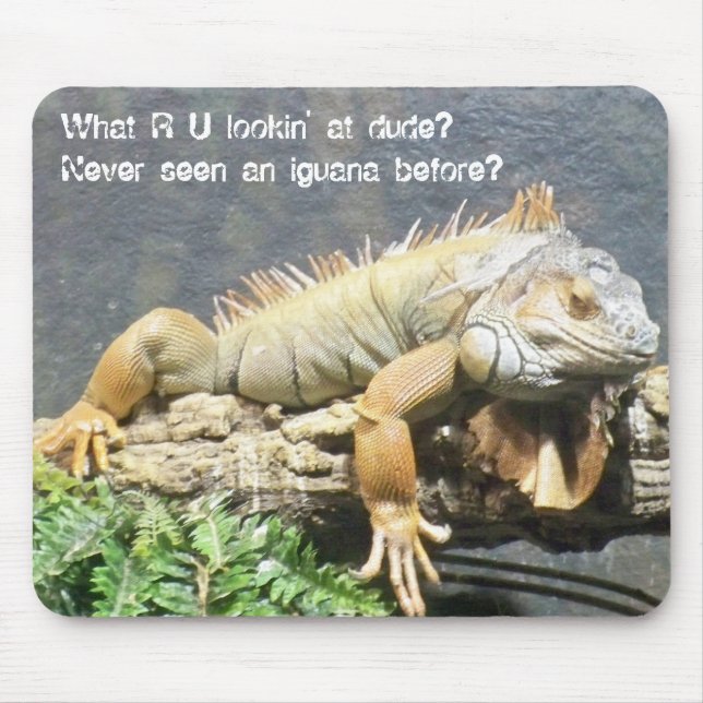 Mousepad Iguana legal (Frente)