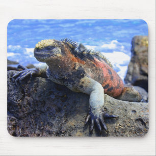 Mousepad Iguana marinha