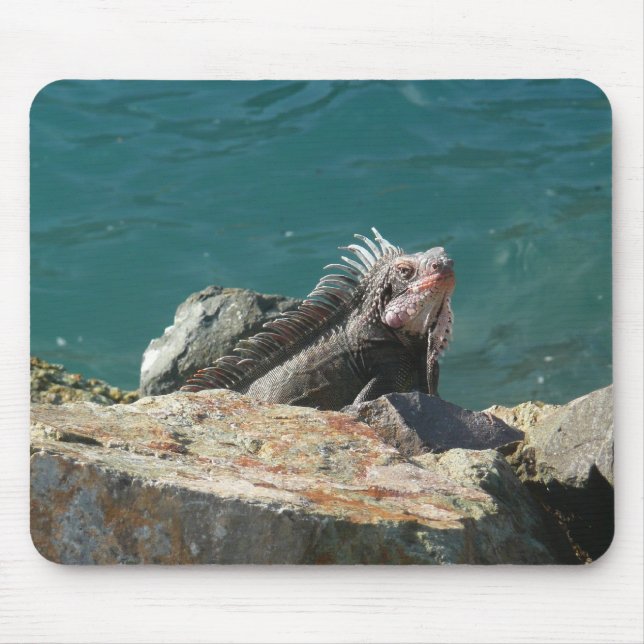 Mousepad Iguana na Rua Thomas. (Frente)