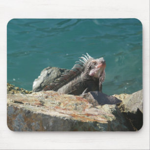 Mousepad Iguana na Rua. Thomas Wildlife