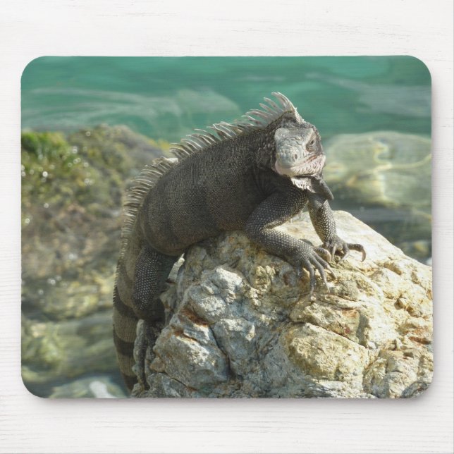 Mousepad Iguana nas Rochas na Rua. Thomas (Frente)