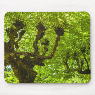 Mousepad Ilha de São Miguel