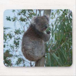 Mousepad Ilha Kangaroo, Austrália - Cuta Koala em uma árvor
