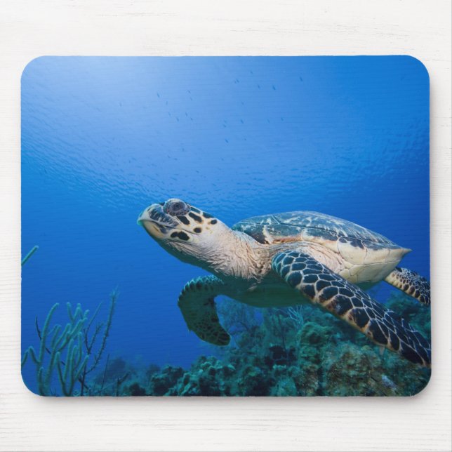 Mousepad Ilhas Cayman, Little Cayman Island, Subaquático 2 (Frente)