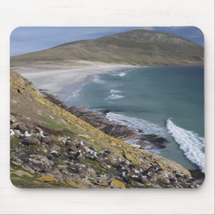 Mousepad Ilhas Falkland, West Falkland, Saunders