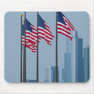 Mousepad Illinois, Chicago. Navy Pier, bandeiras dos EUA ha