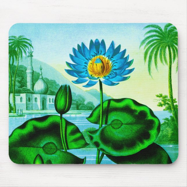 Mousepad Illustração Lily/Lotus Azul-Egípcia (Frente)