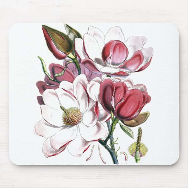 Mousepad Ilustração Antiga de Flores Brancas Vintage (Frente)