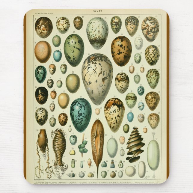 Mousepad Ilustração antiga de história natural de ovos mill (Frente)