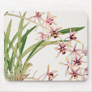 Mousepad Ilustração Botânica com Orquídeas, Placa do Mouse