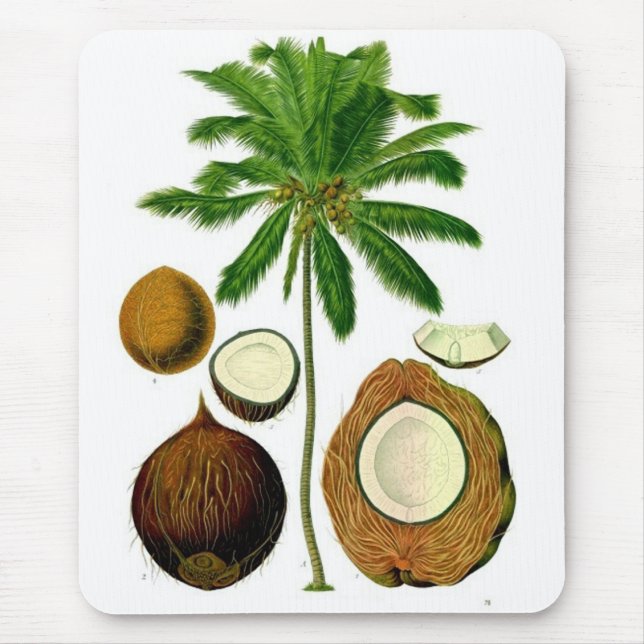 Mousepad Ilustração botânica da árvore de coco (Frente)