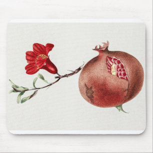 Mousepad Ilustração Botânica de Pomegranato Vintage