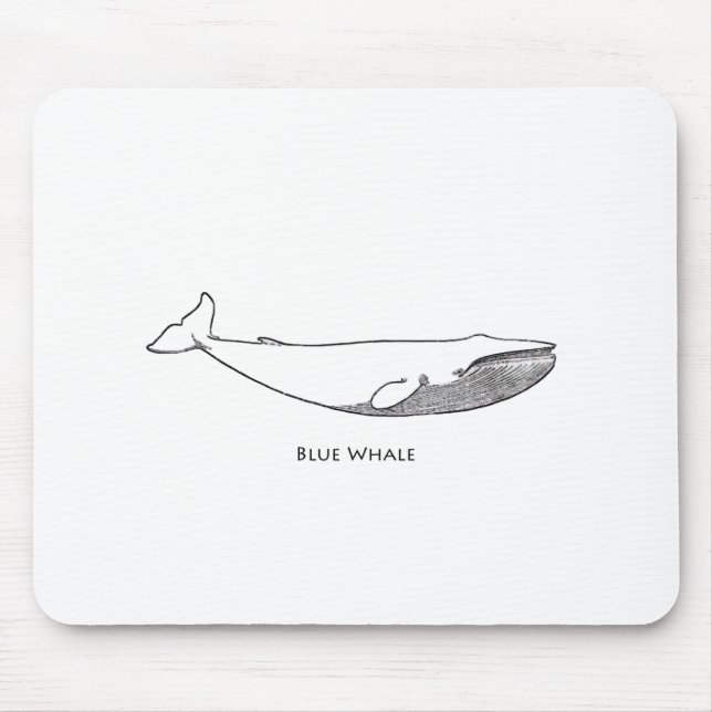 Mousepad Ilustração da baleia azul (linha arte) (Frente)
