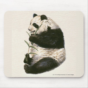 Mousepad Ilustração da panda gigante que alimenta no bamb