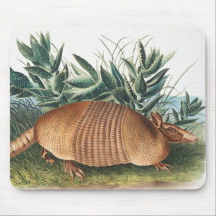 Mousepad Ilustração de Armadillo (Dasypus Peba) com nove 