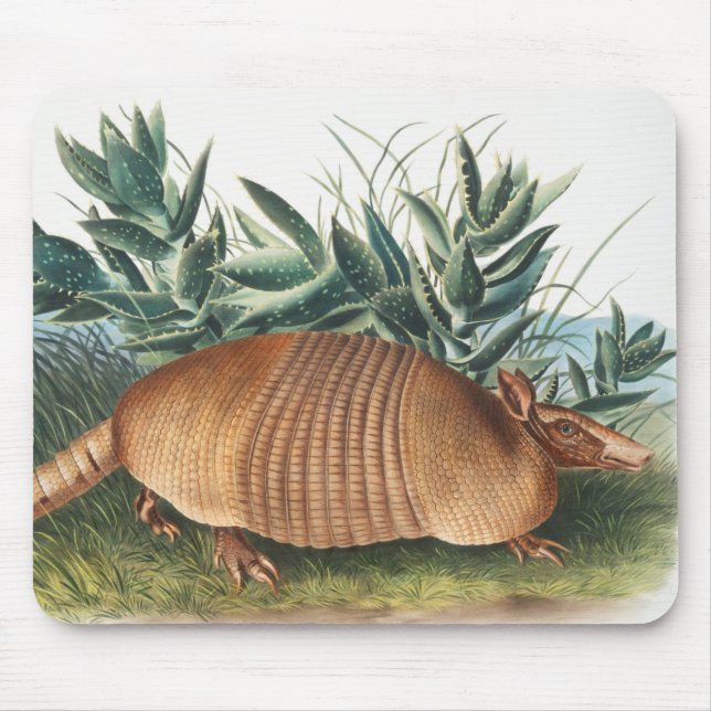 Mousepad Ilustração de Armadillo (Dasypus Peba) com nove fa (Frente)