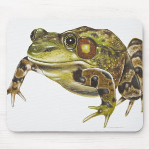Mousepad Ilustração de Digitas do sapo verde