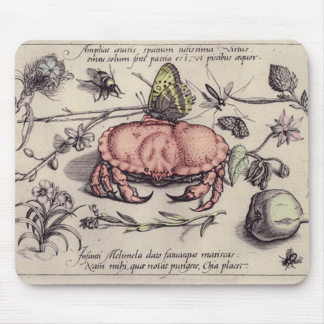 Mousepad Ilustração de Flor de Inseto Botânico de Caranguej (Frente)