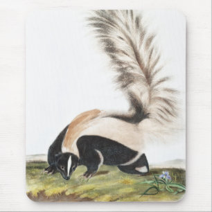 Mousepad Ilustração de Mefíte macrourna do tronco Grande