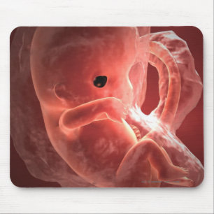Mousepad Ilustração de um embrião tornando-se