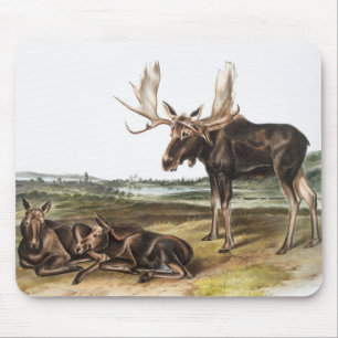 Mousepad Ilustração de veado de alces servo