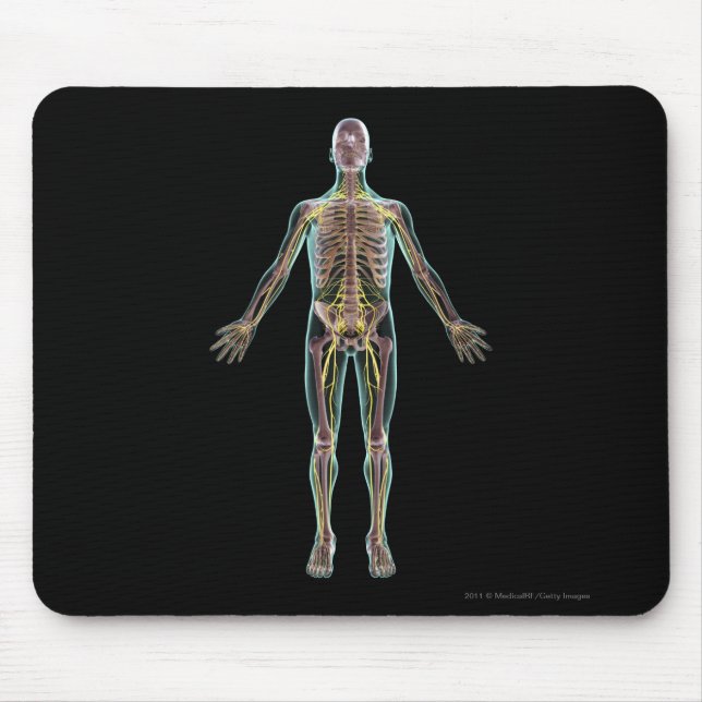 Mousepad Ilustração do sistema nervoso (Frente)