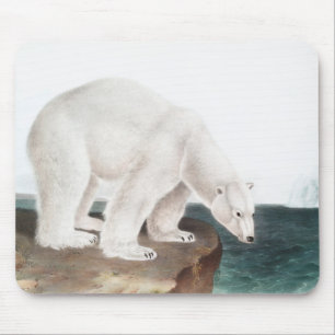 Mousepad Ilustração do Urso Polar (Ursus maritimus)