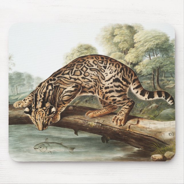 Mousepad Ilustração Ocelot, Gato-Leopardo (Felis pardalis) (Frente)