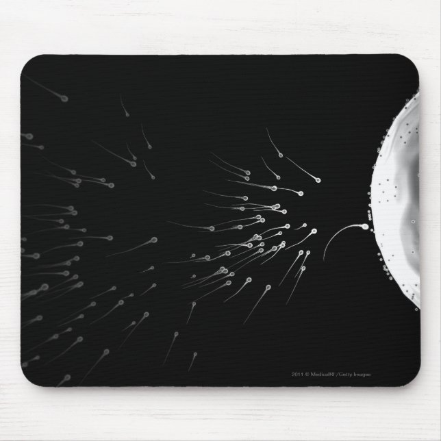 Mousepad Ilustração preto e branco da fecundação (Frente)