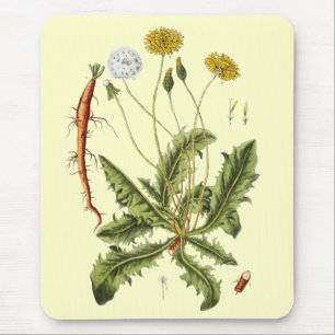 Mousepad Ilustração Vintage Dandelion