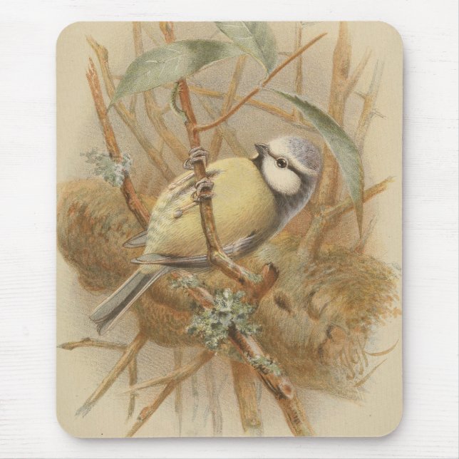 Mousepad Ilustração Vintage de Bluetit (Frente)
