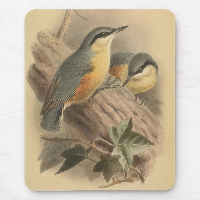 Mousepad Ilustração Vintage de Nuthatch (Frente)