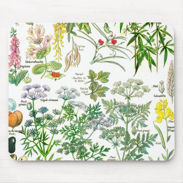 Mousepad Ilustrações botânicas - plantas de Larousse (Frente)