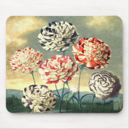 Mousepad Ilustrações Florais Vintage
