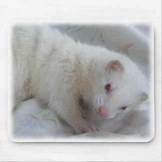 Mousepad Imagem da doninha do albino