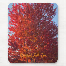 Imagem de árvore de outono |