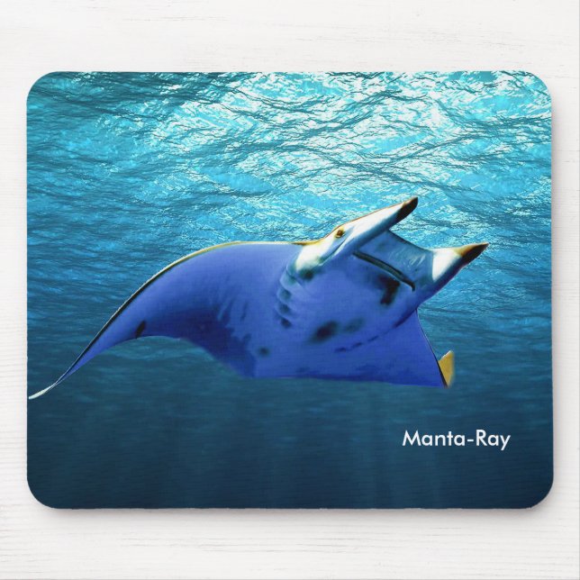 Mousepad Imagem de Peixe para Mouse-pad (Frente)