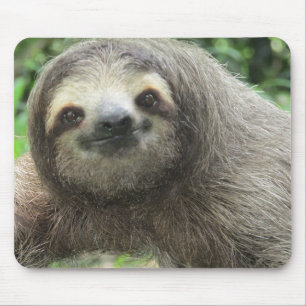 Mousepad Imagem de perfil lento