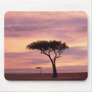 Mousepad Imagem de silhueta da acácia ao nascer do sol