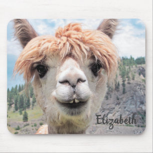 Mousepad Imagem de sorriso bonito da foto da alpaca