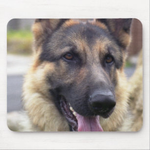 Mousepad Imagem do tapete do rato do german shepherd