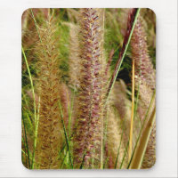 Imagem macro da fotografia da grama de Foxtail