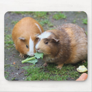 Mousepad Imagem Moderna de Pet Personalizada