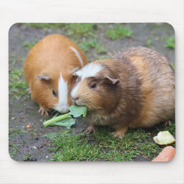 Mousepad Imagem Moderna de Pet Personalizada (Frente)