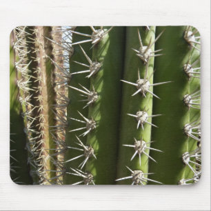 Mousepad Imagem natural do deserto Barrel Cactus II