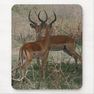 Mousepad Impalas no Serengeti