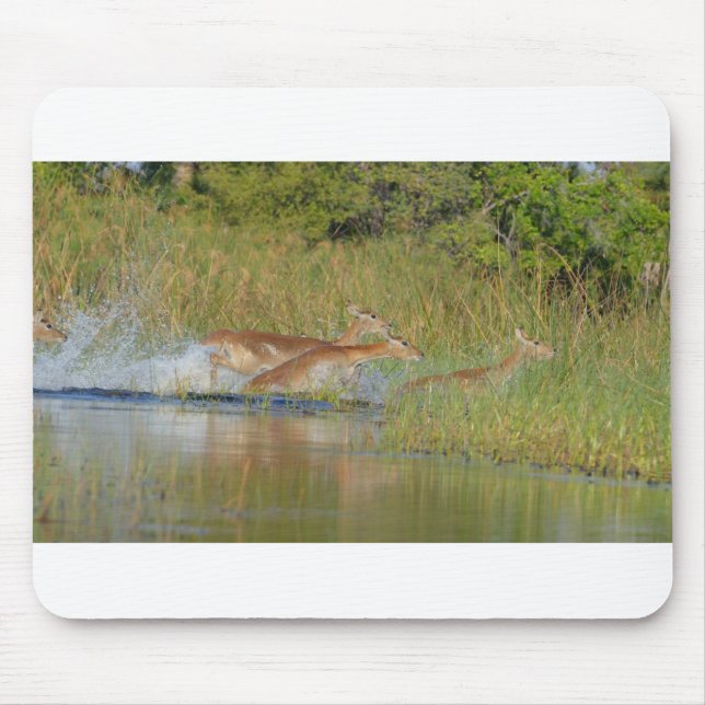 Mousepad Impalas Saltando De Um Pond, Botsuana, África. (Frente)