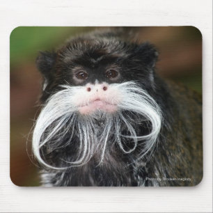 Mousepad Imperador Tamarin